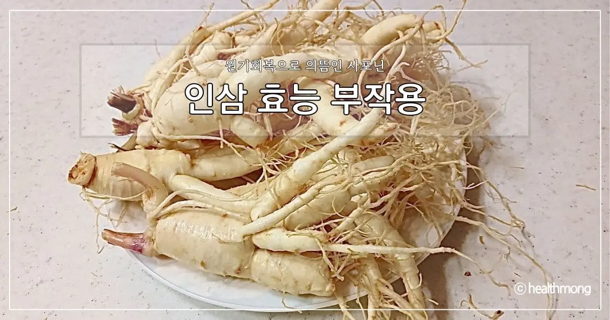 인삼 효능 부작용