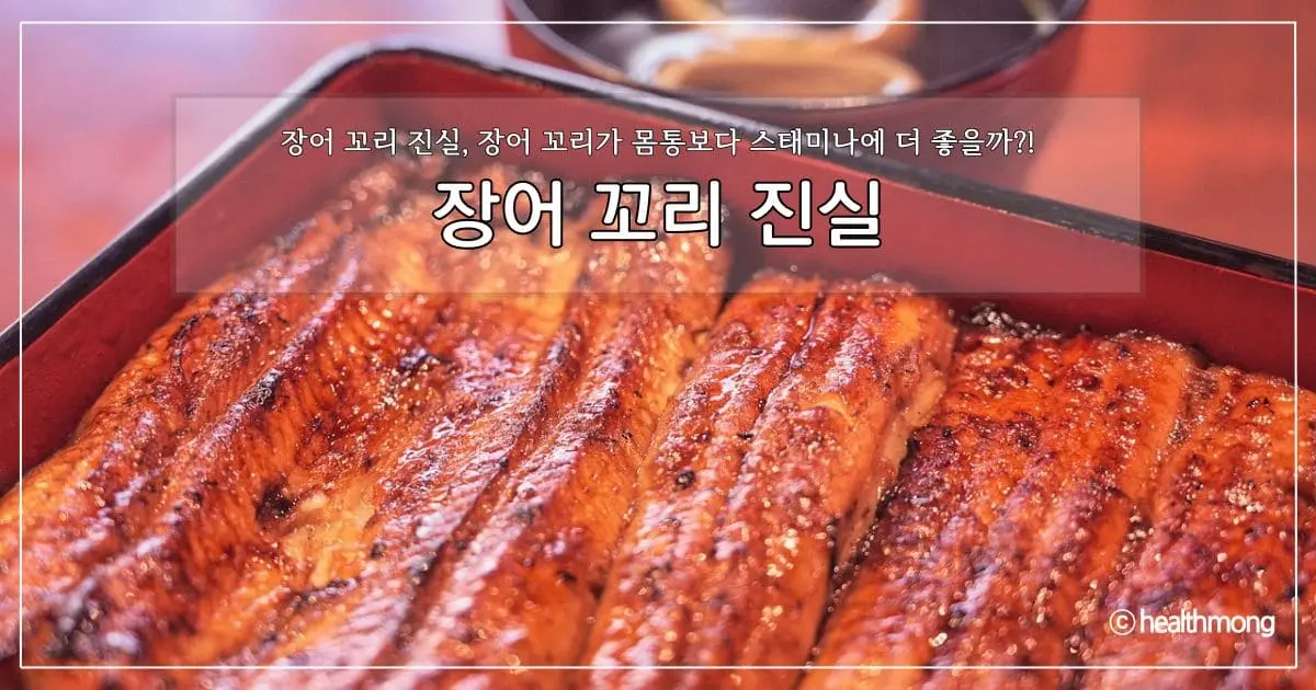 장어 꼬리 진실