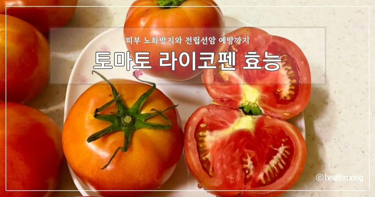 토마토 라이코펜 효능